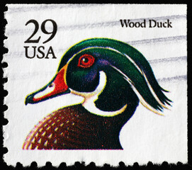 Wood duck on american postage stamp