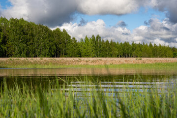 latvian landscape with a green meadow that has merged with water in spring