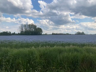 clouds over the lake