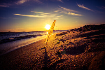 A beautiful sunset at the beach of Baltic Sea. Seaside scenery during the summer of Northern Europe.