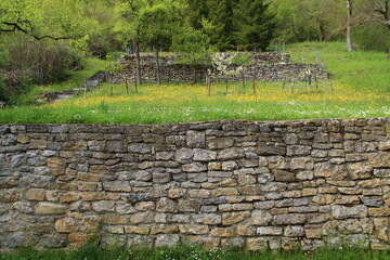Fototapeta na wymiar Trockensteinmauer an einem Abhang