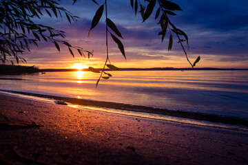 A beautiful sunset scenery at the lake with tree branch sihouette. Lakeside evening landscape in Northern Europe.