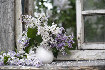 a bouquet of lilacs in a white jug on the window. still life with flowers