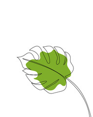 Foliage (Monstera)  line art drawing with abstract shape. Minimalism art.