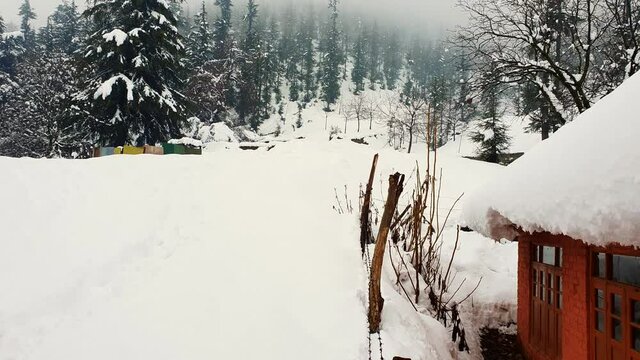 Kid on Snow landscape in kashmir, kashmir looks beautiful during white fresh snow. Winter games in Gulmarg sonmarg pahalgam starts, snow cap hills trees roads looks white and cool.