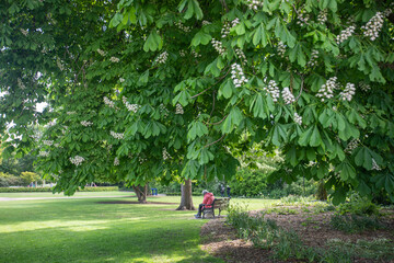 A sunny day in the park