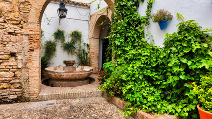 Fototapeta na wymiar Patios of Cordoba Andalusia- Spain typical of Cordoba many flowers in May. Courtyard scene with old fountain and beautiful flowers.