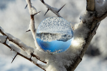 Abstract view of crystal ball resting in a show covered thorn tree reflecting snowy mountains cape...
