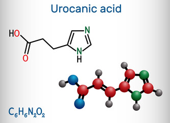 Urocanic acid molecule. It is intermediate product in the metabolism of histidine. Structural chemical formula and molecule model