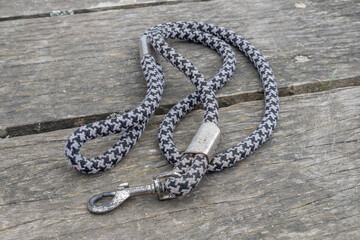 dog's lead on the floor close up