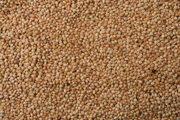 texture of grain of yellow millet on white background