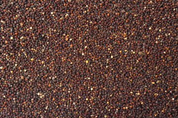 texture of grain rape on white background