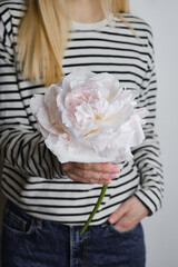 White peony in the hands of a girl in a striped blouse. Peony bud and its petals close-up. Beautiful festive spring bouquet. Florist girl with blossom flower. Fresh floral. Romantic surprise 