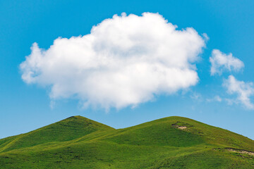 Obraz premium Green alpine meadows in the highlands