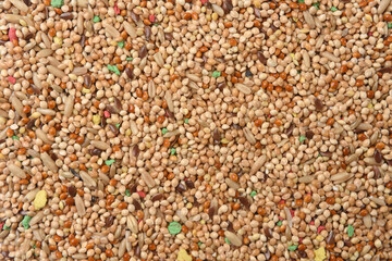 texture of food for parakeet mixture of grains