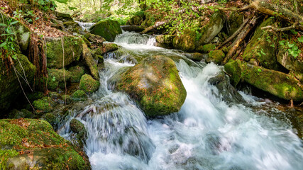 Obraz premium Mountain stream in spring. Large boulders in the white foam of the rushing water. Clear mountain stream