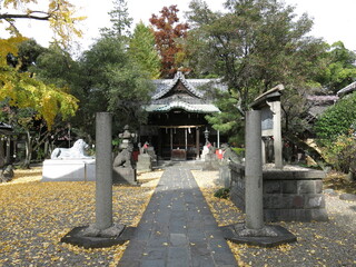 イチョウの黄葉が美しい墨田区向島の三囲神社