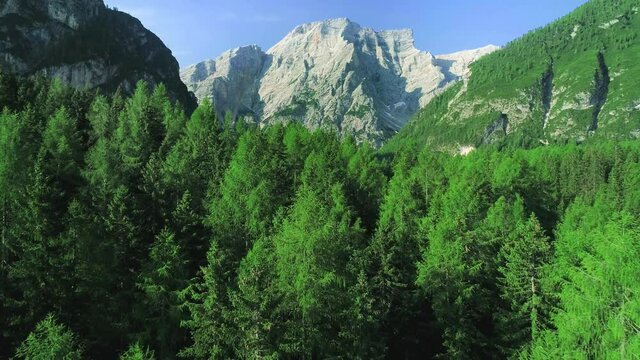 Aerial flight adove high mountain forest. Exploring Alps, Dolomites, Italy
