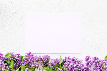 Spring purple lilac flowers. Fla lay, mock up