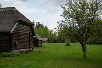 Obraz premium an old tree house in the north of Latvia with thatched roofs and green grass