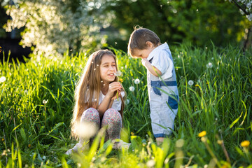 Naklejka na ściany i meble Brother and sister have fun playing with blooming white yellow and fluffy dandelions in a warm spring garden