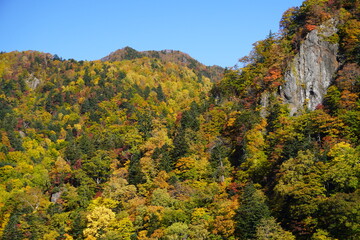 豊平峡ダムの紅葉