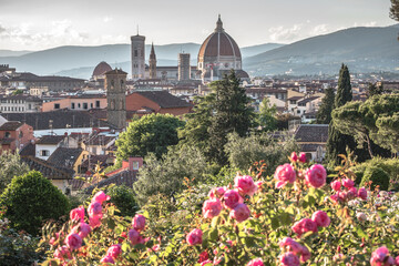 Fototapeta na wymiar The beauty of Florence with pink roses