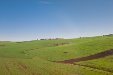 Fototapeta na wymiar green gentle meadows hills agriculture in Morocco