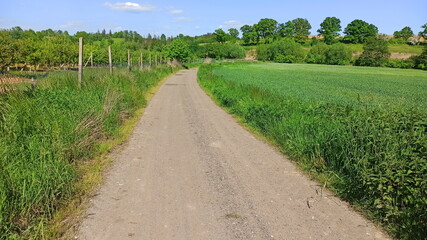 Fototapeta na wymiar Curved dirt road. Green landscape in Lower Silesia area. Beautiful spring in Poland.