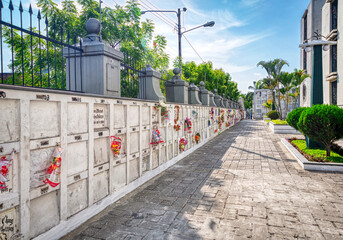 Fototapeta na wymiar Guayaquil, Guayas, Ecuador - November, 2013: Crypts, hallways and vegetation at the General Cemetery of the city, on a beautiful sunny summer morning.