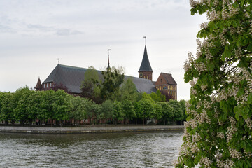 Fototapeta na wymiar Konigsberg Cathedral on Kant Island (formerly Kneiphof) of the Pregel (Pregolya) River in Kaliningrad