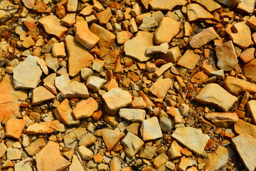 Variety of different size rocks scattered on beach of Lake Michigan.