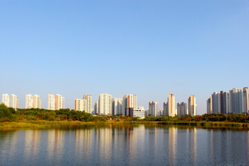 Fototapeta na wymiar city skyline with river