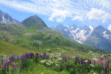 Fototapeta na wymiar Lautaret pass is a road that takes cyclists, hikers and drivers from the Briançonnais to the Oisans regions 