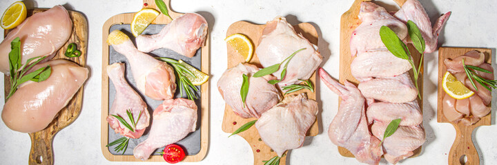 Various raw chicken meat portions. Set of uncooked chicken fillet, thigh, wings, strips and legs on white cooking table background with spices