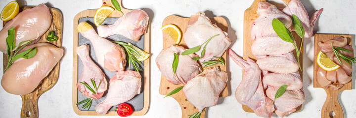 Various raw chicken meat portions. Set of uncooked chicken fillet, thigh, wings, strips and legs on...