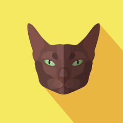 Vector illustration of cat face, flat icon design with long shadow