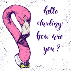 Hand drawn flamingo head with bowtie and words hello darling how are you, vector illustration