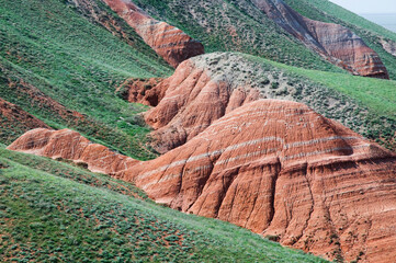 These red ancient clays of the Permian period and are 250 - 290 million years old. They're older...
