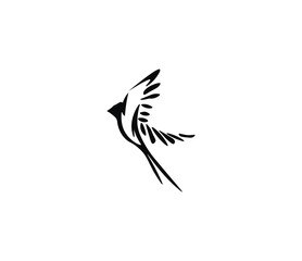 minimally drawn silhouette of a bird