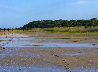 Landscape at Lake Saint Lucia, KwaZulu-Natal, South Africa