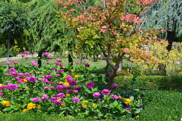 Botanical Garden in Bulgaria