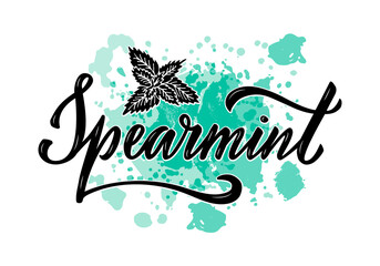 Naklejka premium Vector illustration of spearmint lettering for packages, product design, banner, spice shop price lists. Handwritten word with leaves for web or print 