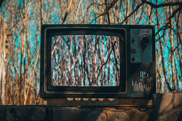 old abandoned TV with trees in the background