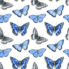 Plakat Watercolor seamless pattern with bright blue tropical butterflies on white background.