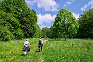 Obraz premium Landschaft 