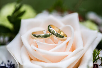 Golden real wedding rings on a wedding background representing love ready for the bride and groom.