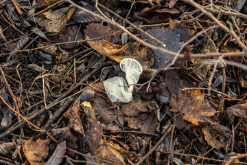 random garbage junk items left in nature