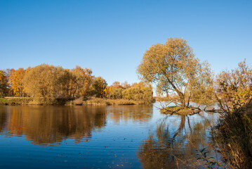 Fototapeta na wymiar Autumn landscape. Trees with golden leaves are reflected in the water of the lake.
