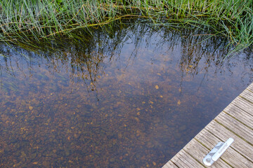 small rural pond with grass and reflections in water